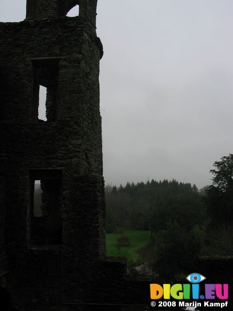 24819 View past Round Lookout tower